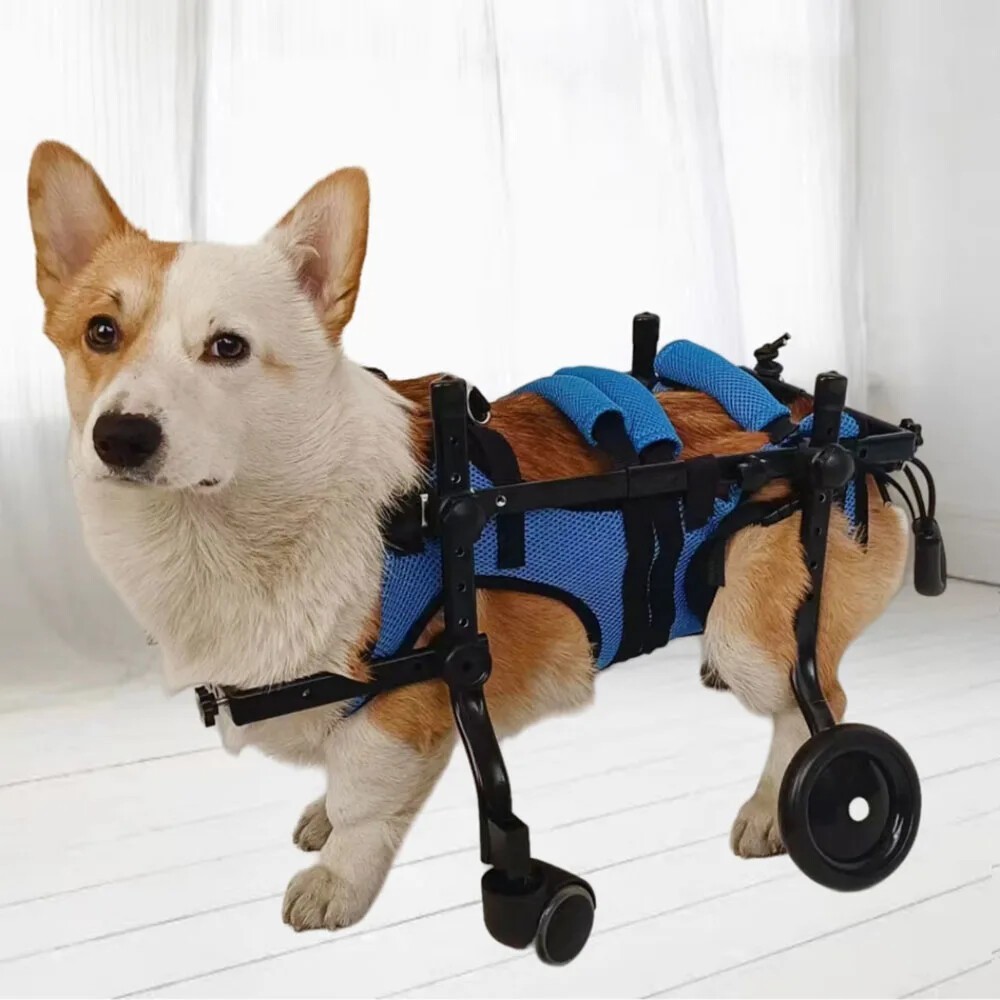 Adjustable Dog Wheelchair 4-Wheel Mobility Aid Small Medium Pet Recovery