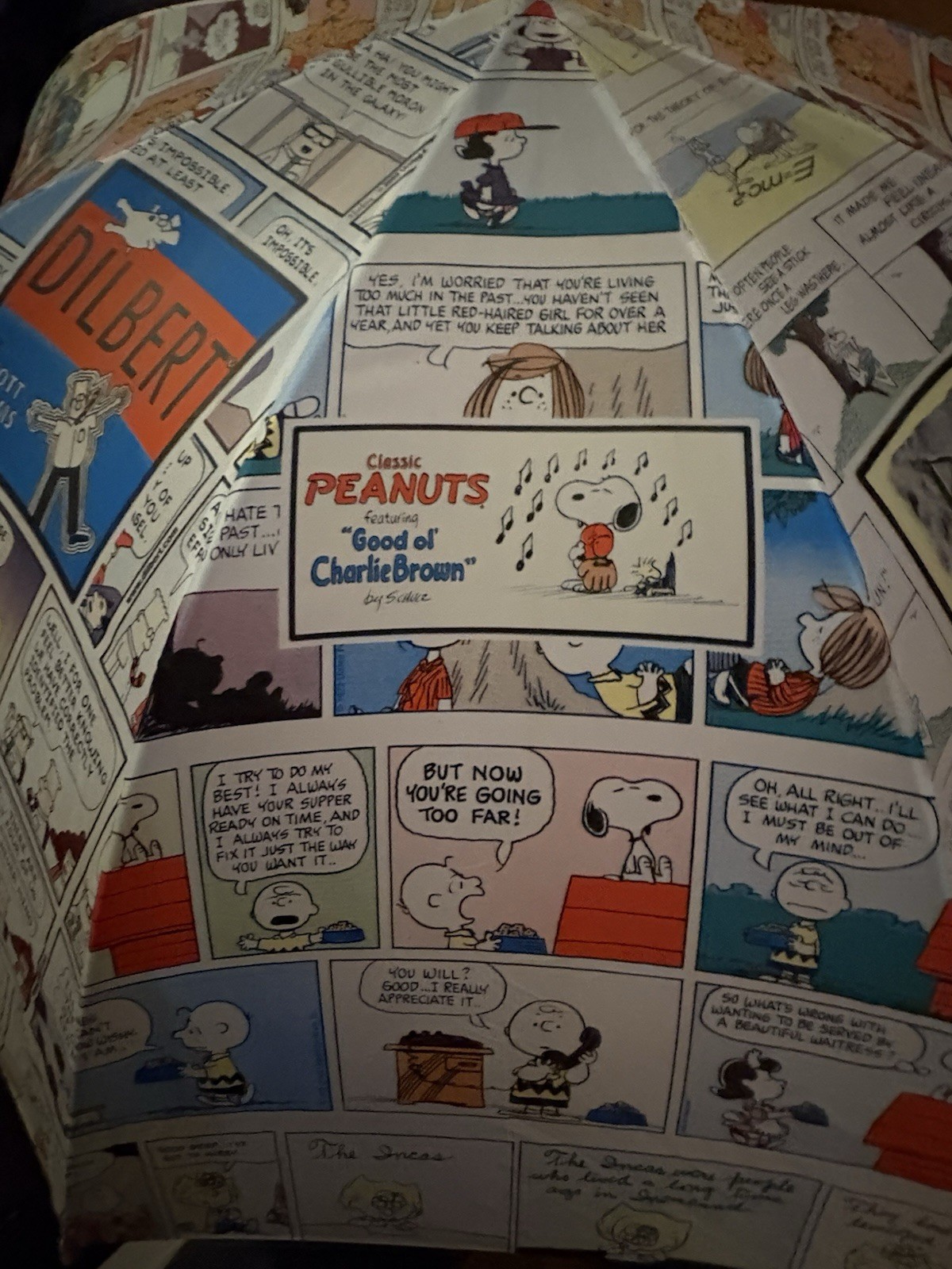 VTG Newspaper Comics Strip Tulsa World Umbrella Dilbert Peanuts Ziggy 36” Open