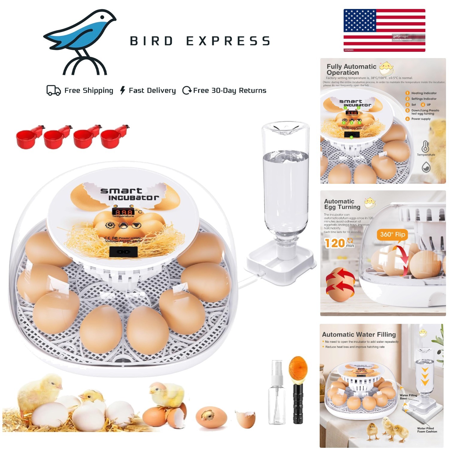 12 Egg Incubator w Automatic Turning & Temperature Control for Poultry Hatching