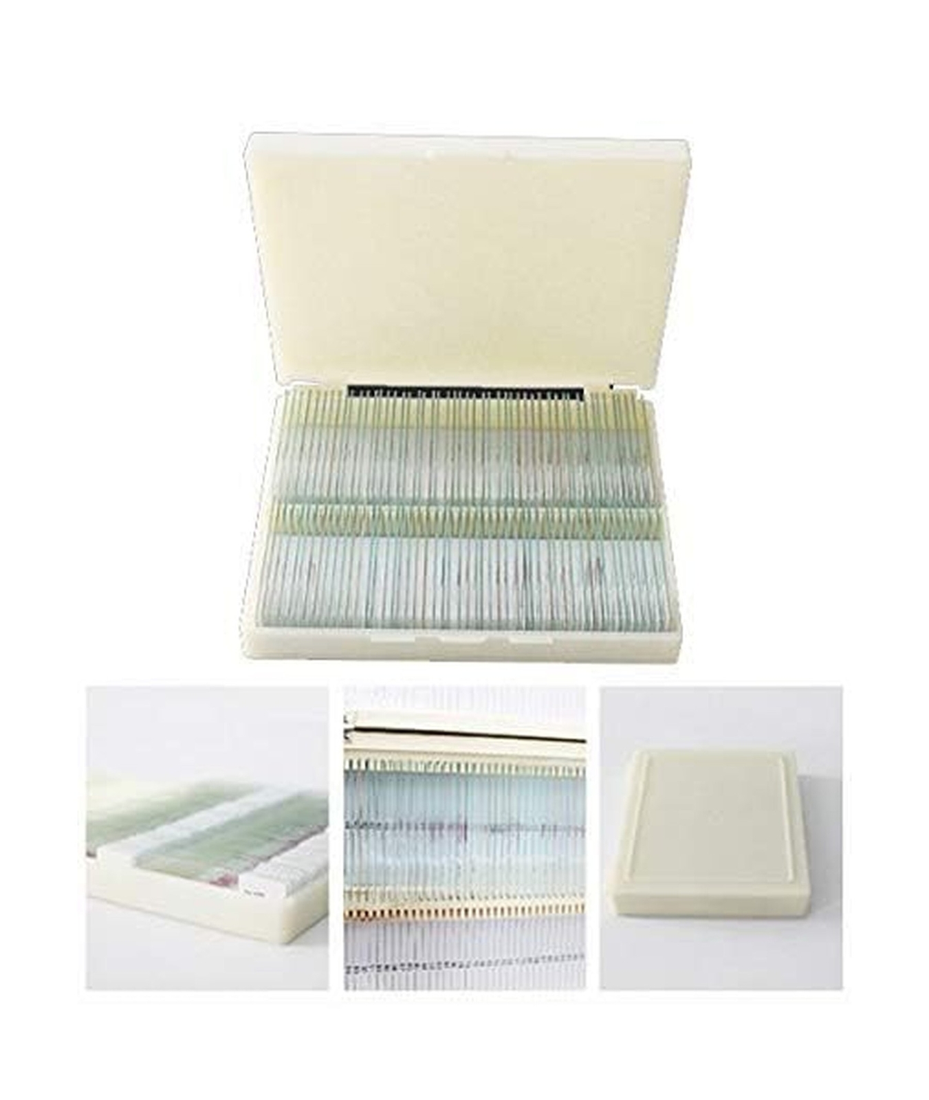 100-Set Prepared Microscope Pathology Slides for Human Medical Education