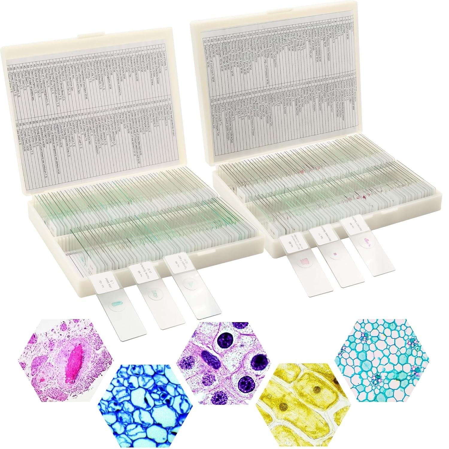 200 Microscope Slides Set with Labels