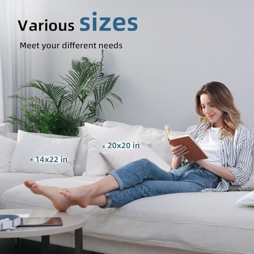 22x22Euro Pillow Inserts Set of 2, Premium Down Feather Pillows for 22x22(2pc)