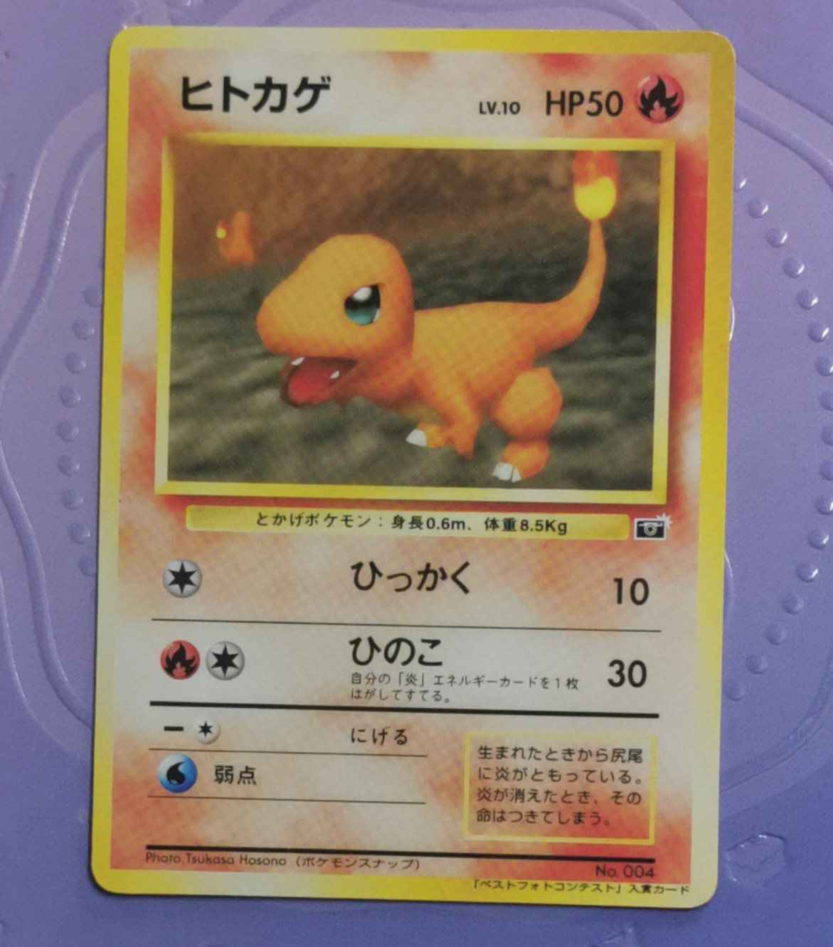 Charmander #4 CoroCoro Pokemon Snap Collectors Fan Art Card for Display
