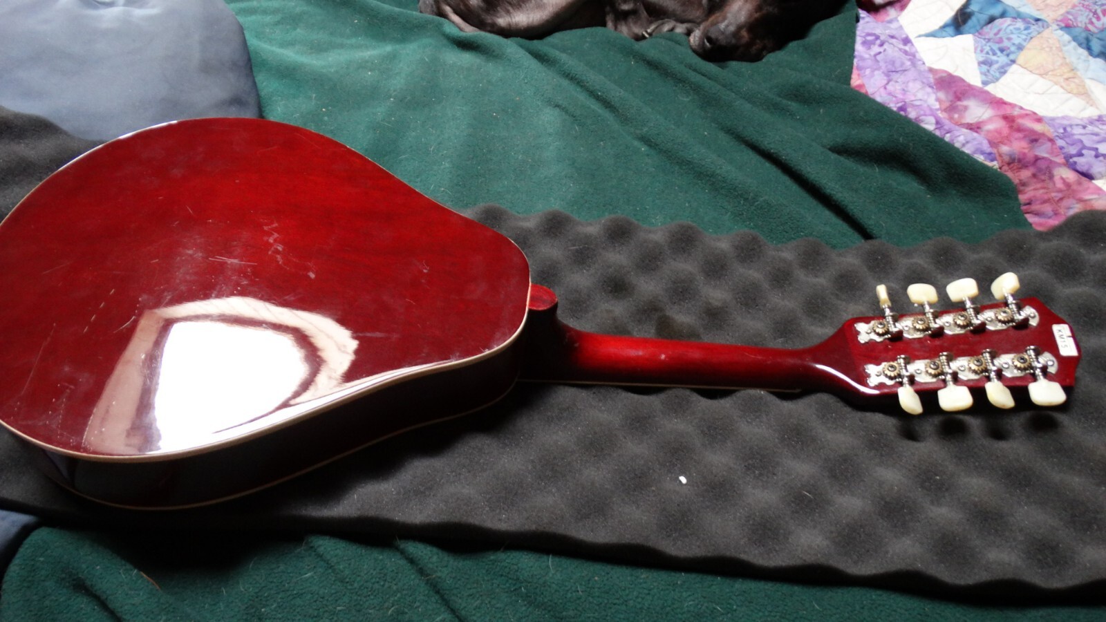 kent mandolin