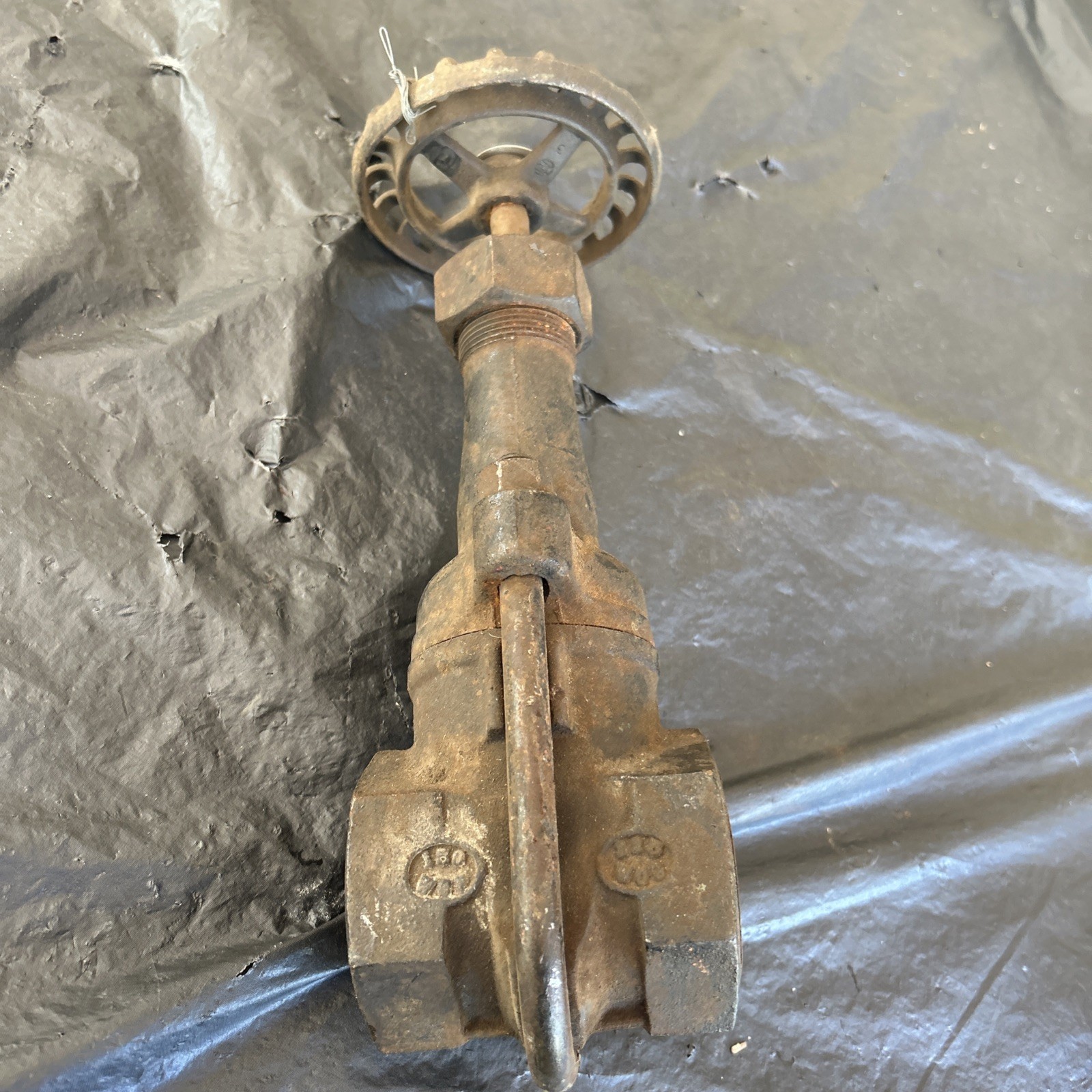 Hammond 1R337 1 1/2" Gate Valve