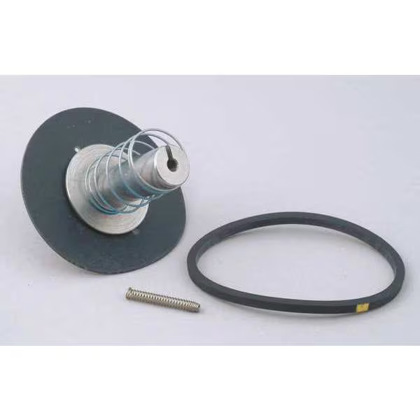 Dayton Valve Rebuild Kit,With Instructions 066062 Dayton 066062 190735218082