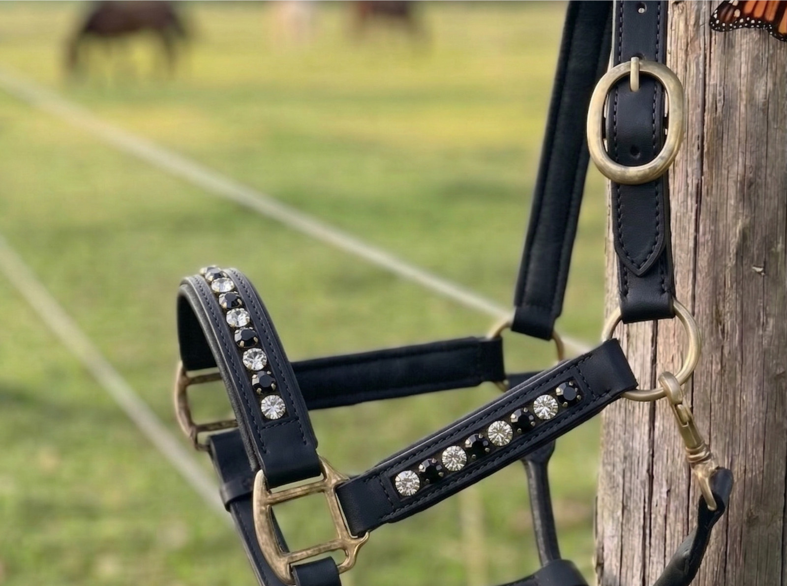 Leather Horse Halter with  Crystal Browband | Handmade Crystal Halter