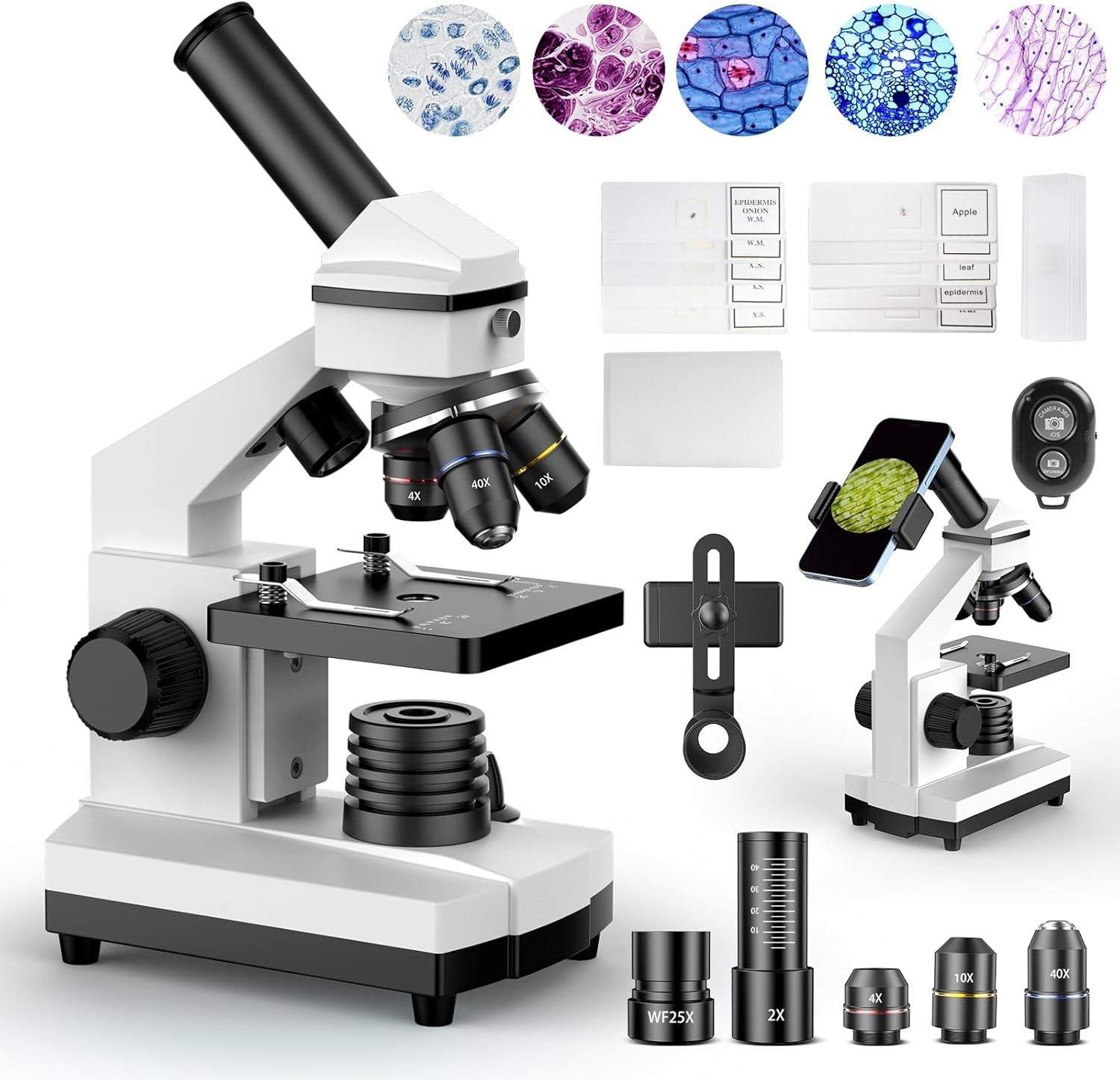 Compound Microscope for Adults & Students - 100X-2000X High-Power Biological ...