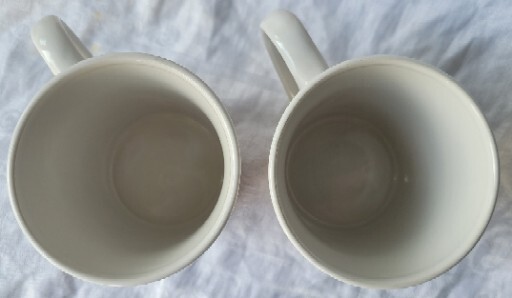 (1) Delaware Young Republicans Coffee Mug