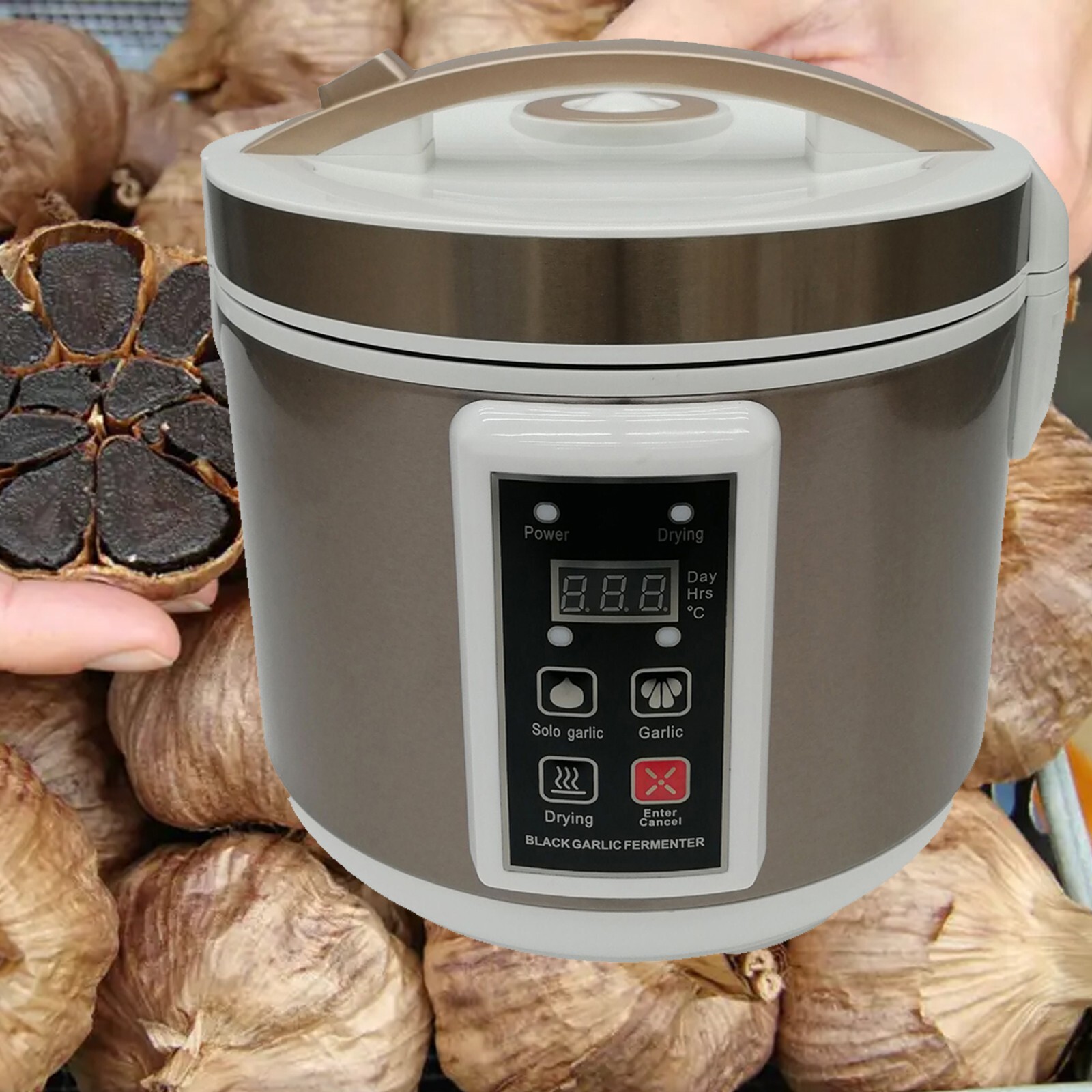 110V 5L Black Garlic Fermentation Pot Automatic Control Electric Automatic