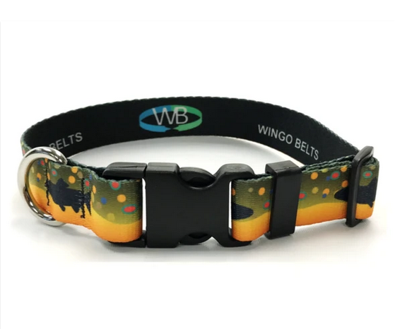 Freshwater Trout Gamefish Pattern DOG COLLARS LEASHES AWESOME!! NEW!!