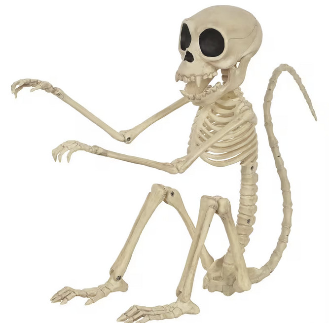Monkey Skeleton Halloween Decoration Scary Plastic Animal Bones Haunted House