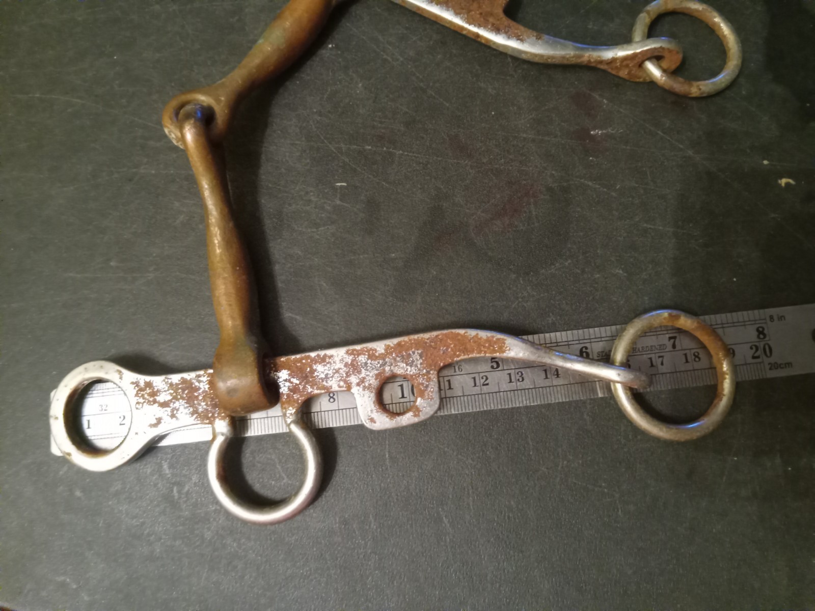 Argentine snaffle bit 5 1/4 inch copper mouth