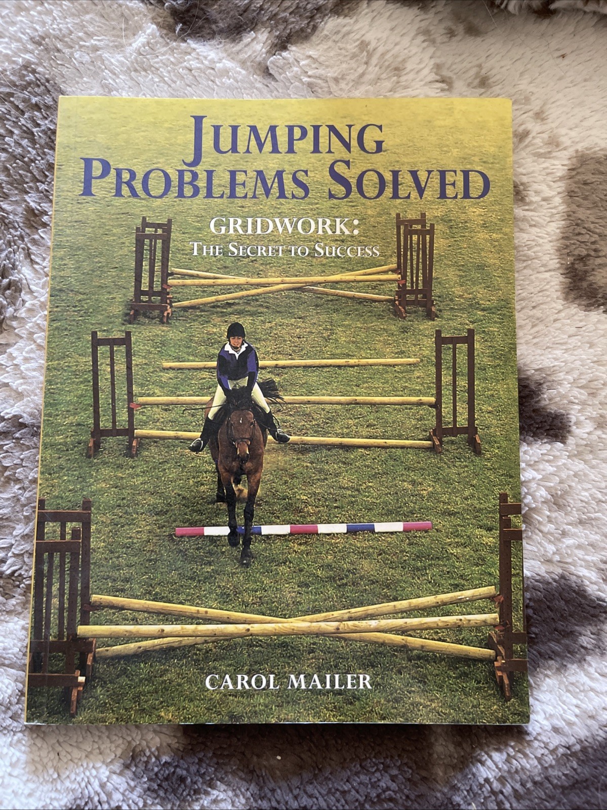 Jumping Problems Solved: Gridwork the Secret to Success by Carol Mailer