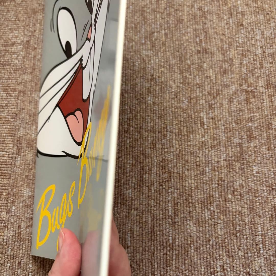 Bugs Bunny Notebook used