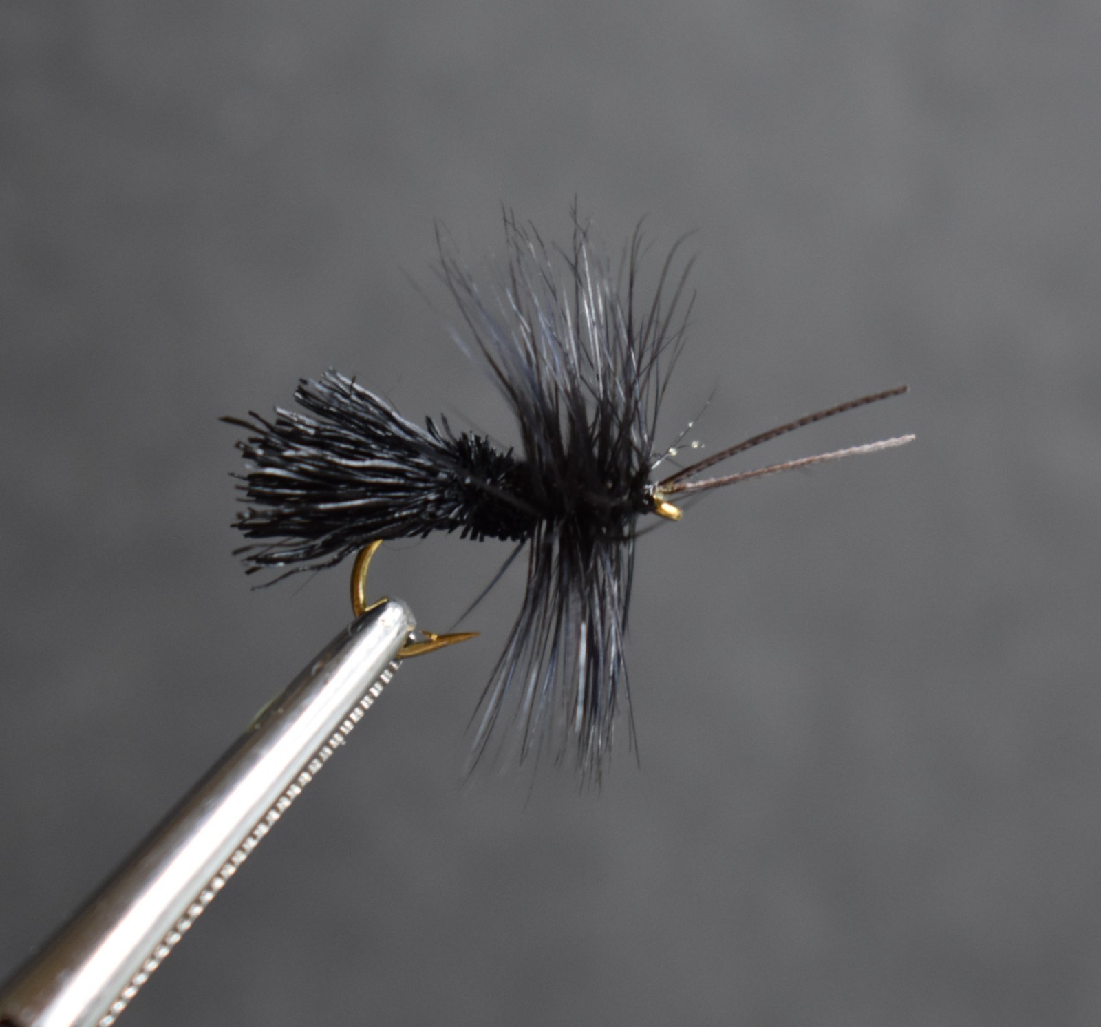 BLACK GODDARD CADDIS  Dry Fly Fishing Flies, 1 Fly, U Choose Size