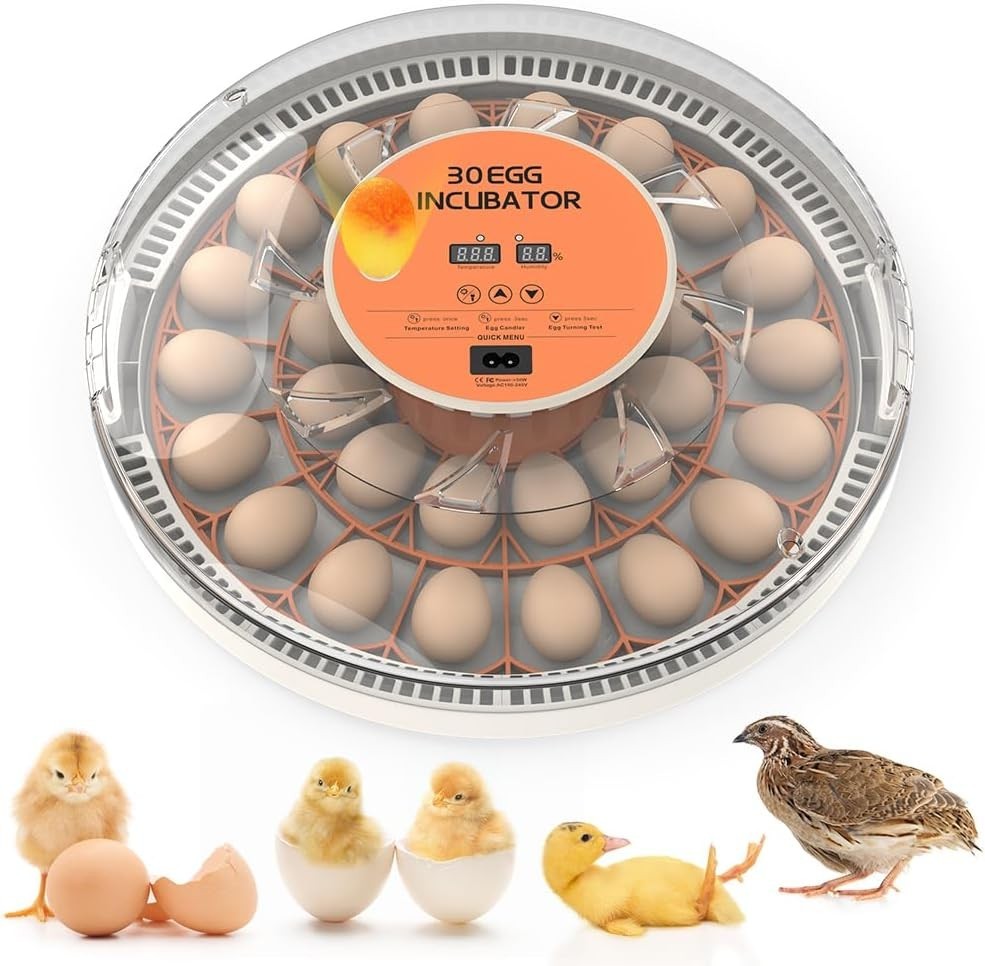 Incubators for Hatching Eggs, Egg Incubator with Automatic Egg Turning and Humid