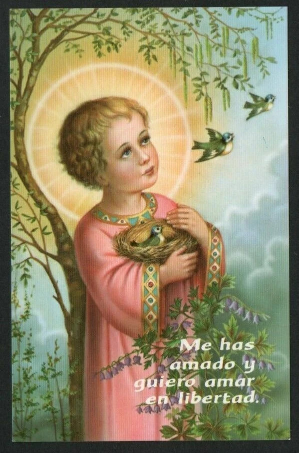 Holy card de Jesus Niño santino image pieuses estampa