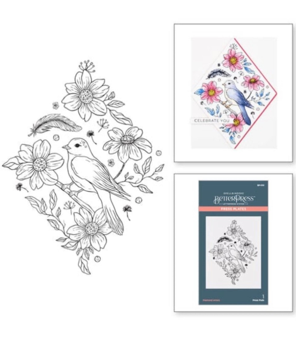 NEW Spellbinders DIAMOND AVIARY BetterPress Plate