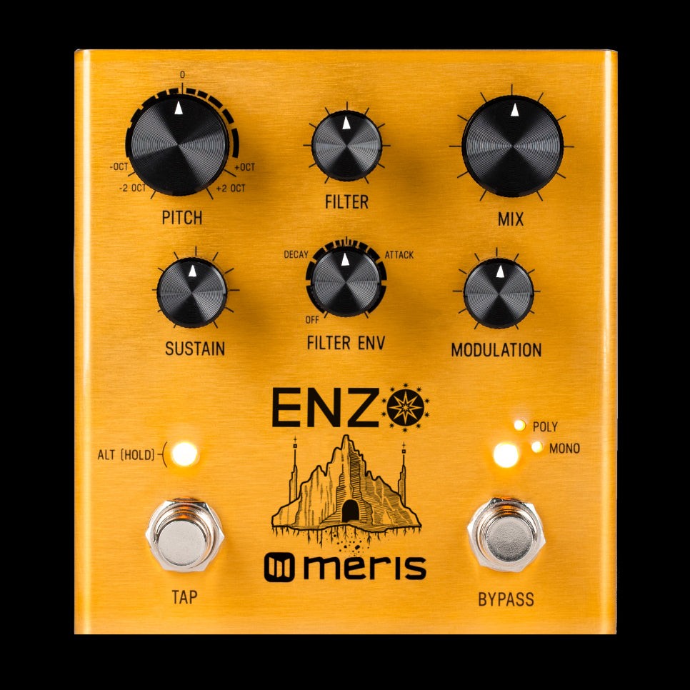Meris Enzo Multi-Voice Synthesizer Guitar Effect Pedal
