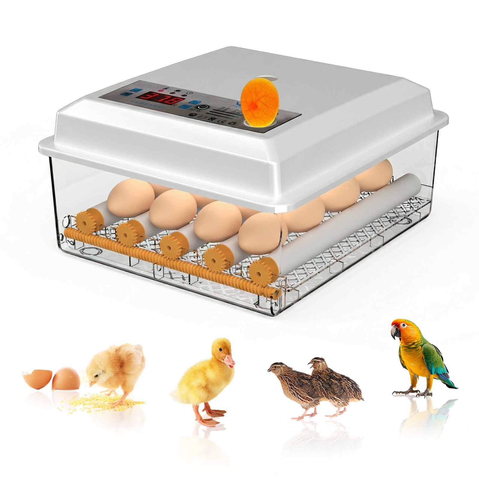 Egg Incubator for Hatching 16/36 Eggs Automatic Egg Turning Temperature Control