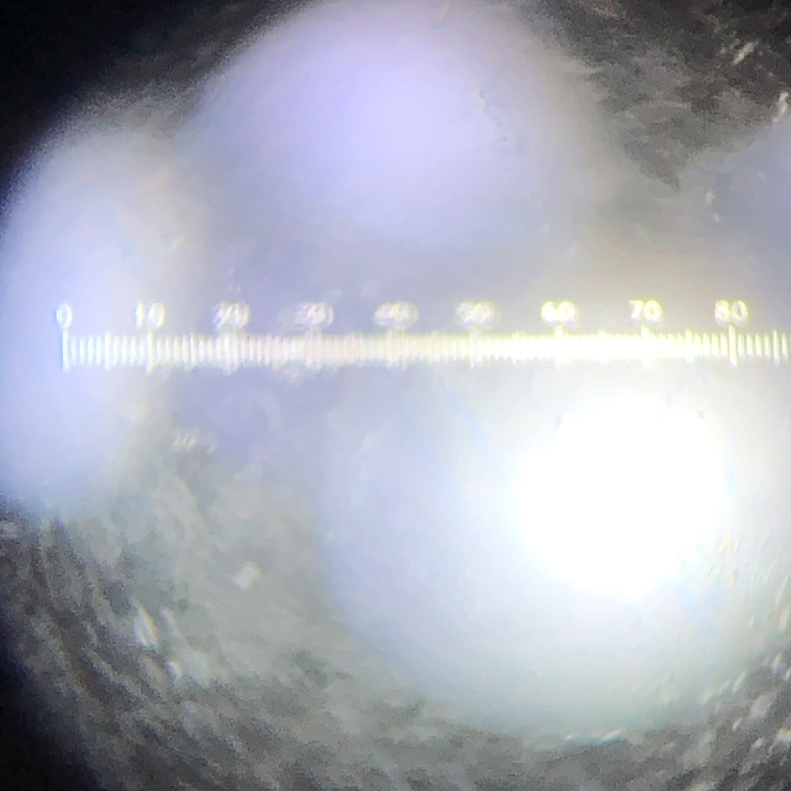 Microscope Glass Reticle Horizontal 0-100 Scale 100 Div. 23.9mm 1.52mm Thick