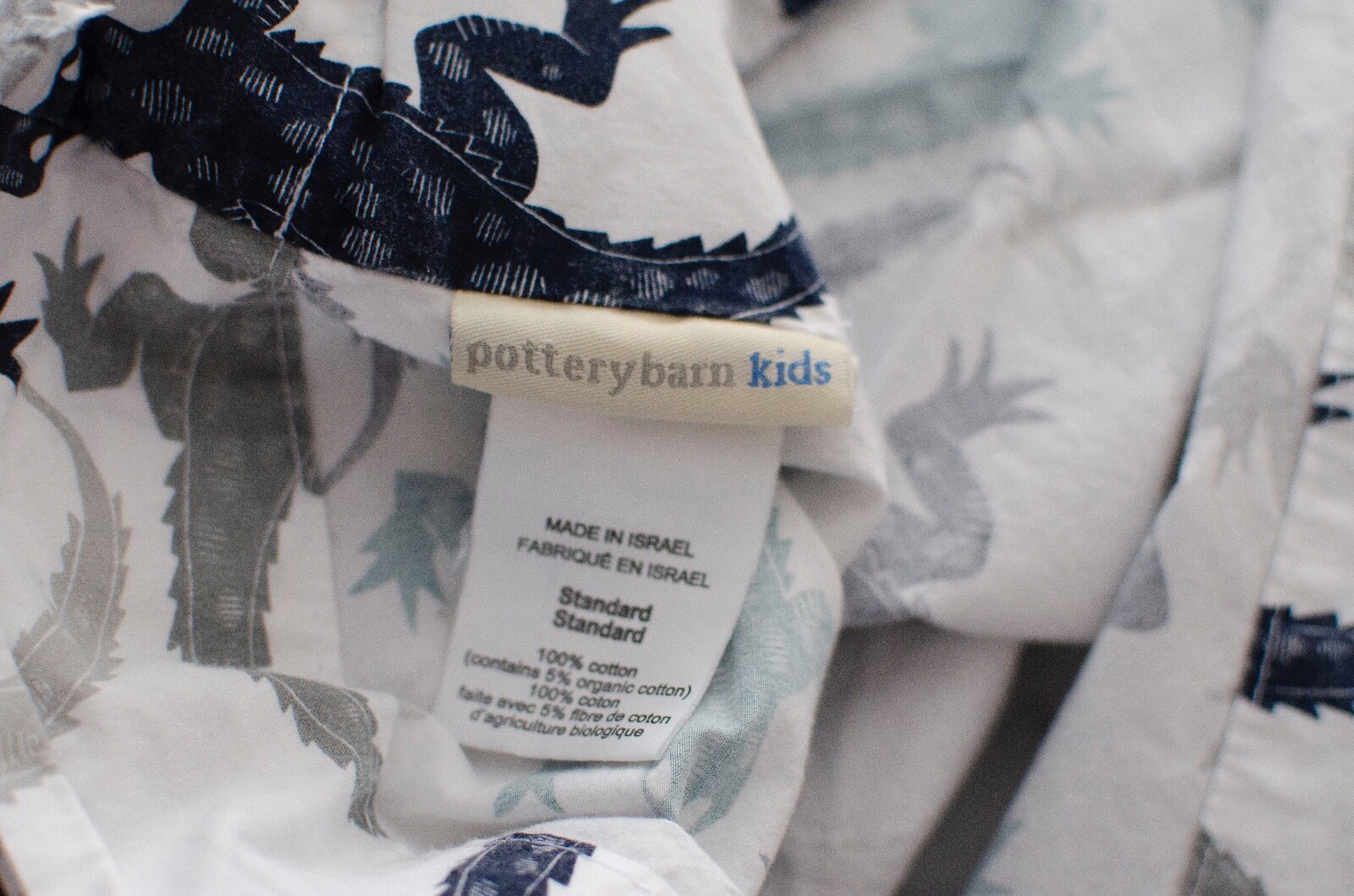 Pottery Barn Kids Lizard Design Std Pillowcase 100% Cotton