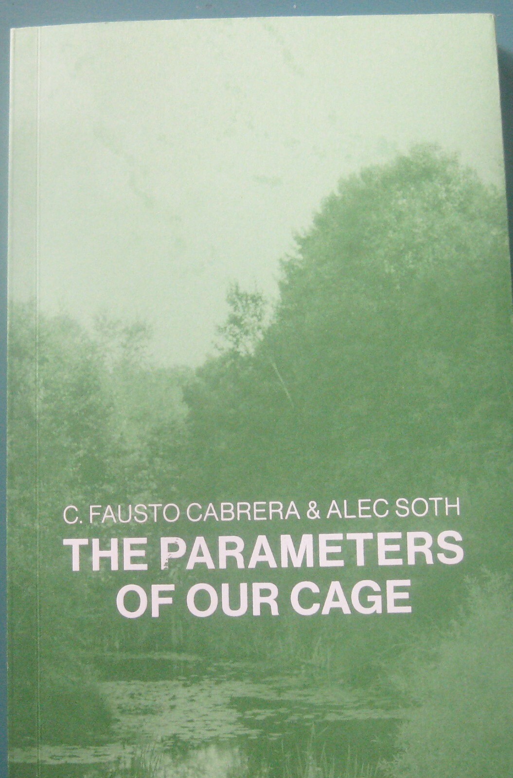 IRVING NORMAN: The Human Condition, 1985 Catalog The Alternative Museum