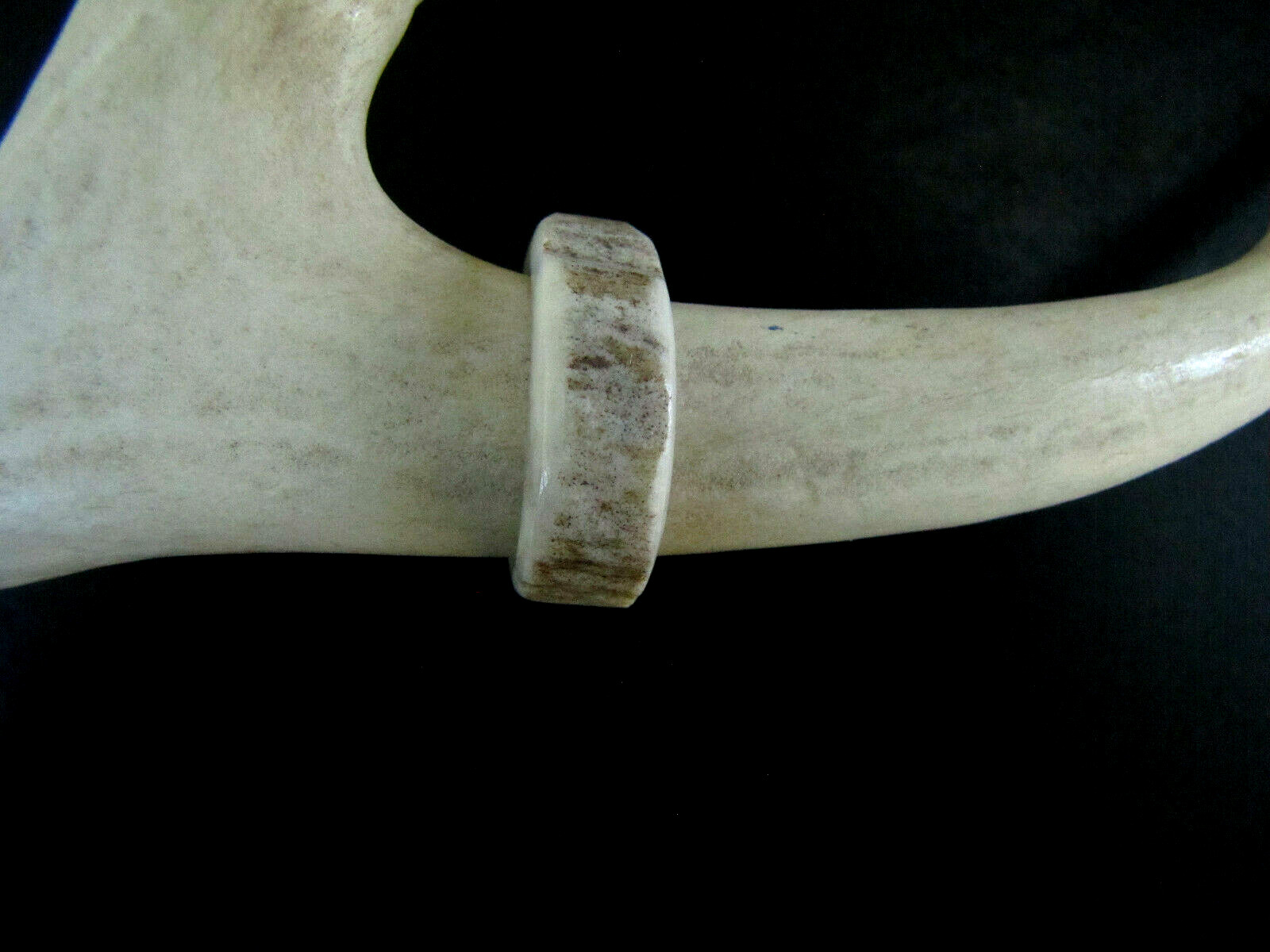 HANDCRAFTED OOAK SHED DEER, ELK ANTLER RING,SIZE 8  3/4, R-427