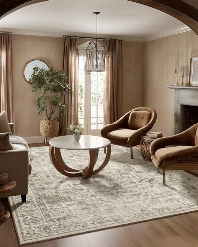 Washable Area Rugs for Living Room: 5x7 Bedroom Area Rugs Boho Vintage Rugs
