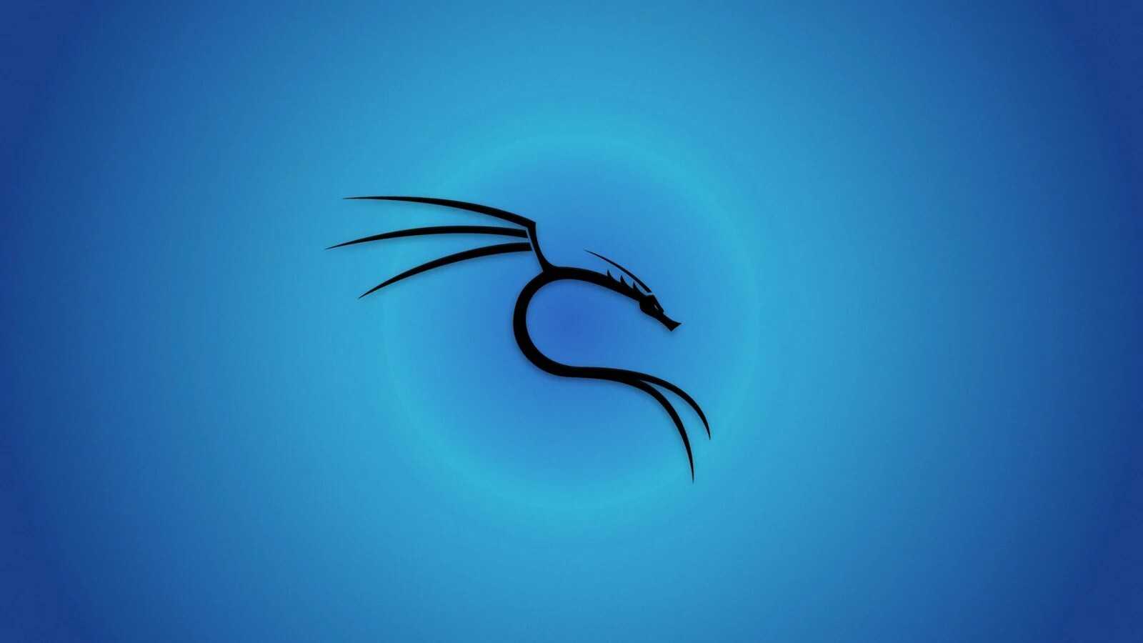 Kali Linux Bootable USB Drive - Rolling Release Pen-Testing 16 GB