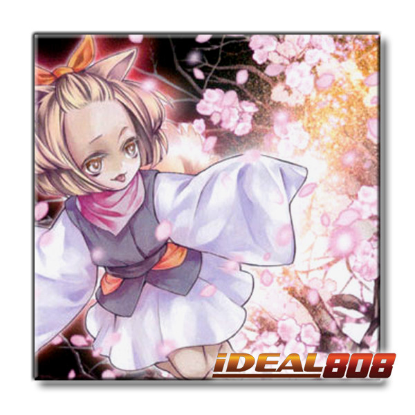PRE-SALE YUGIOH x3 LAVD-ENO08 ASH BLOSSOM & JOYOUS SPRING - COMMON 1st EDITION