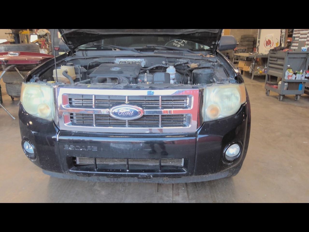 TRIBUTE 2010 Spare Wheel Carrier 716511