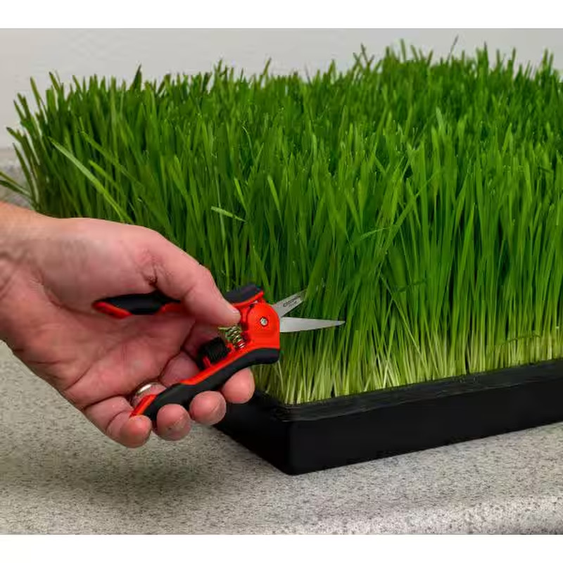 2.25 In. Stainless Steel Blade with Soft Touch Grip Hydroponic Micro Snips