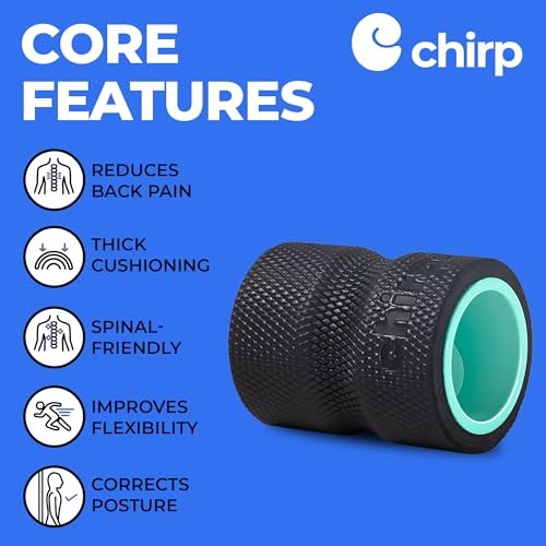 Wheel Foam Roller – Targeted Back & Neck Relief, Lumbar Spine 4" - Focus