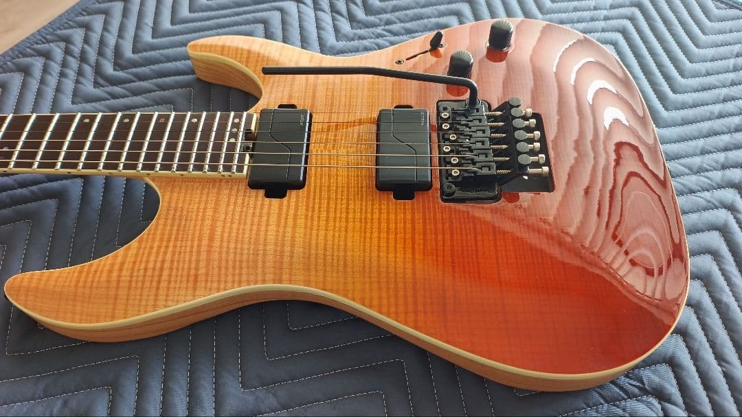 Schecter Electric Guitar C-1 Fr Sls Elite
