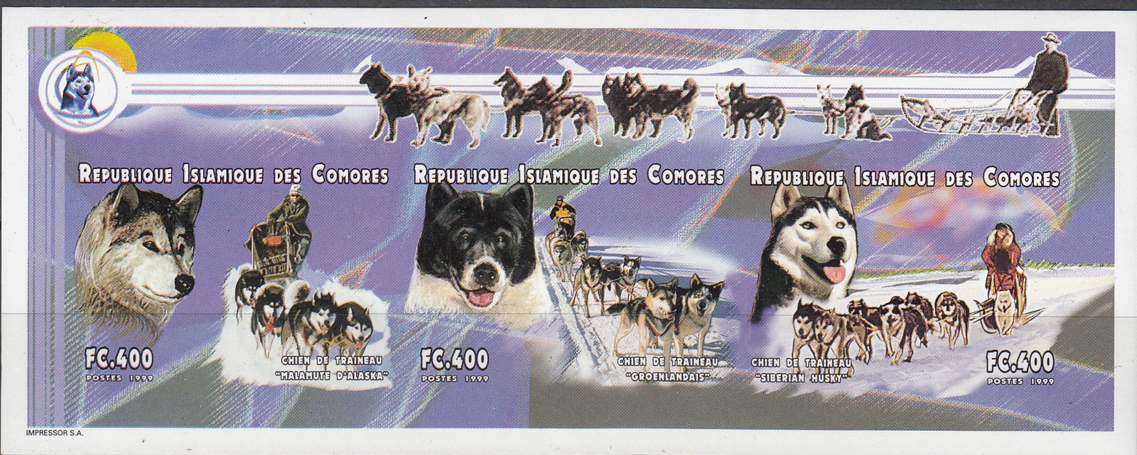 W COMORO 0937v ARTIC DOGS