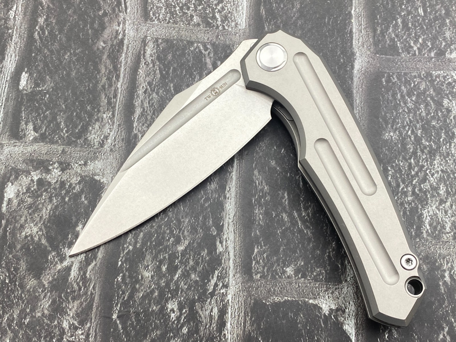 Twosun TS220-M390-SW Folding Knife M390 Titanium Handle Fast Open Pocket Knife