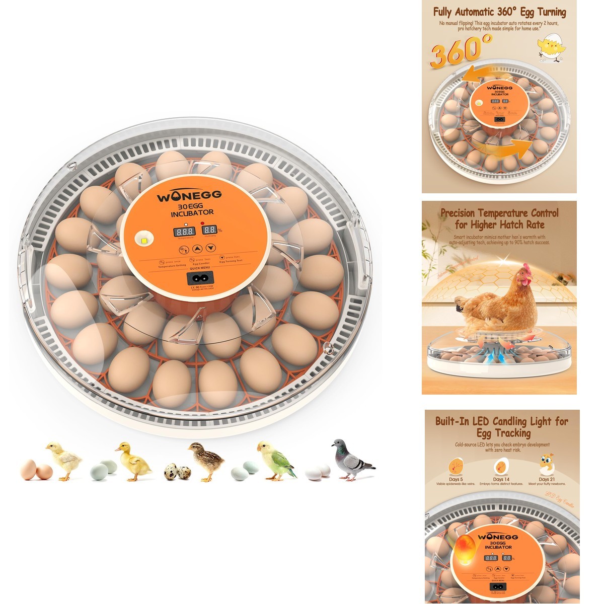 WONEGG 30 Egg Incubators Hatching Eggs Automatic Egg Turner, Auto Temperature