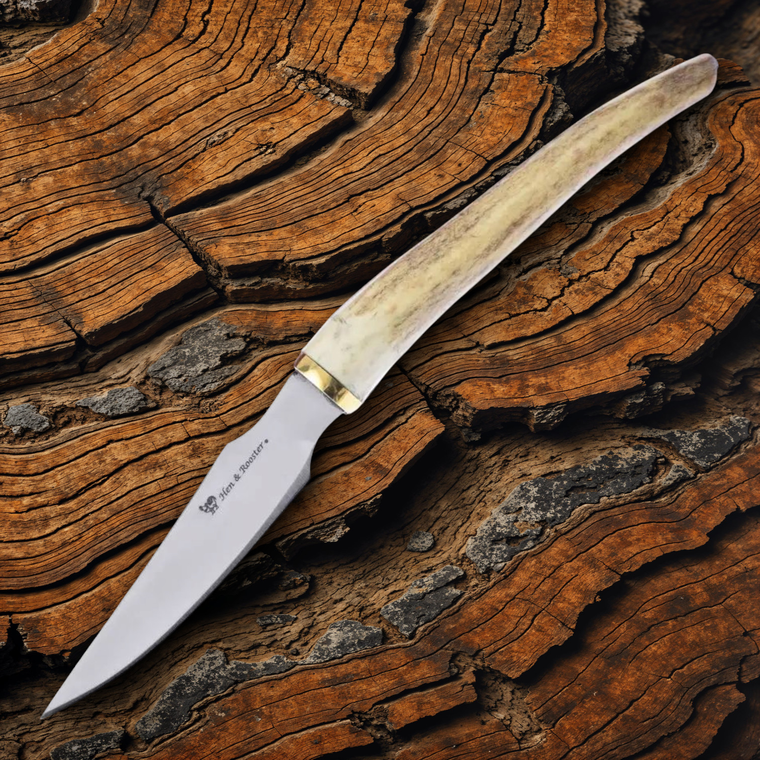 Hen & Rooster Int Fixed Knife 3" Satin Stainless Steel Bowie Blade Stag Handle