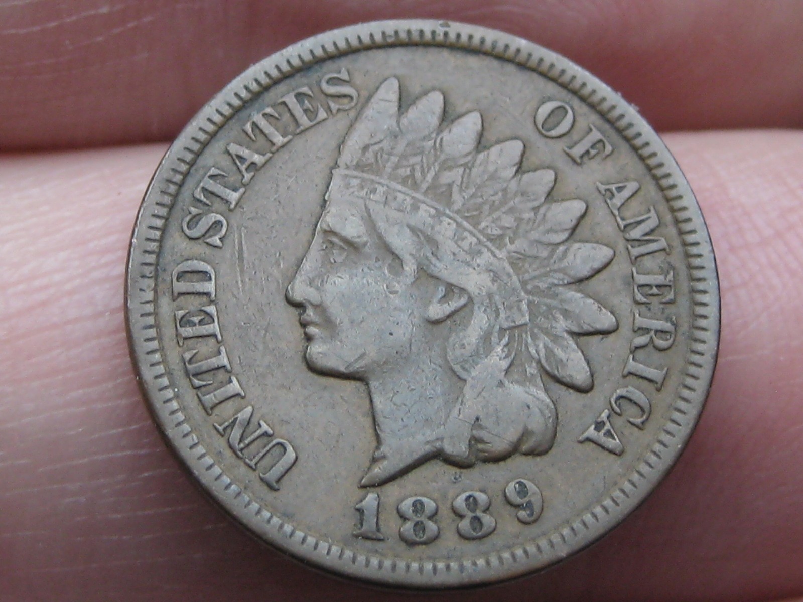 1889 Indian Head One Cent Penny- Fine/VF Details, Partial LIBERTY, Brown