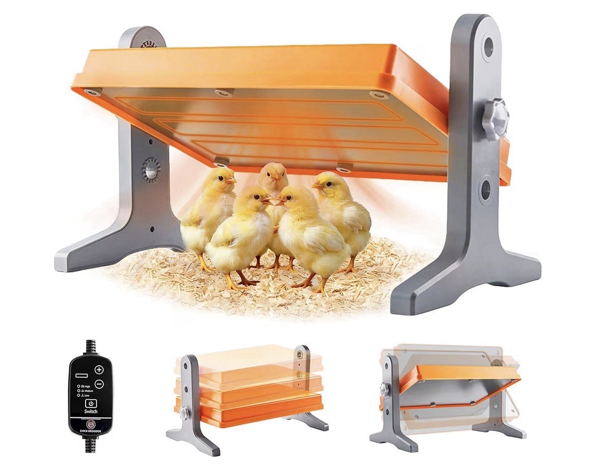 Chick Brooder Heater Plate 12x8 Inches. Adjustable Height And Temperature 🐣 New
