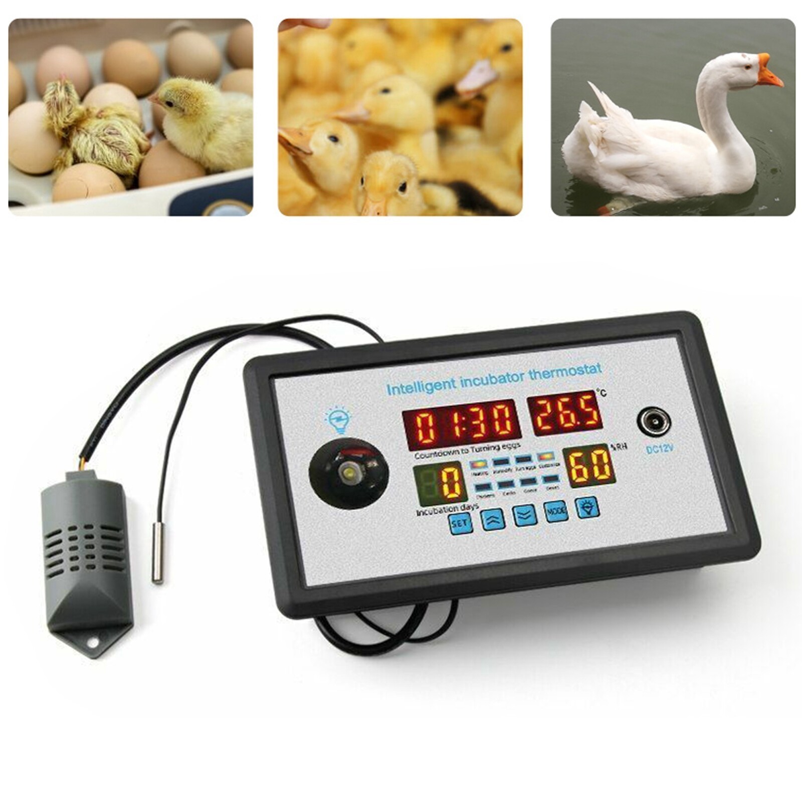 Smart Thermostat Temperature Humidity Automatic Egg Turning Control Incubator