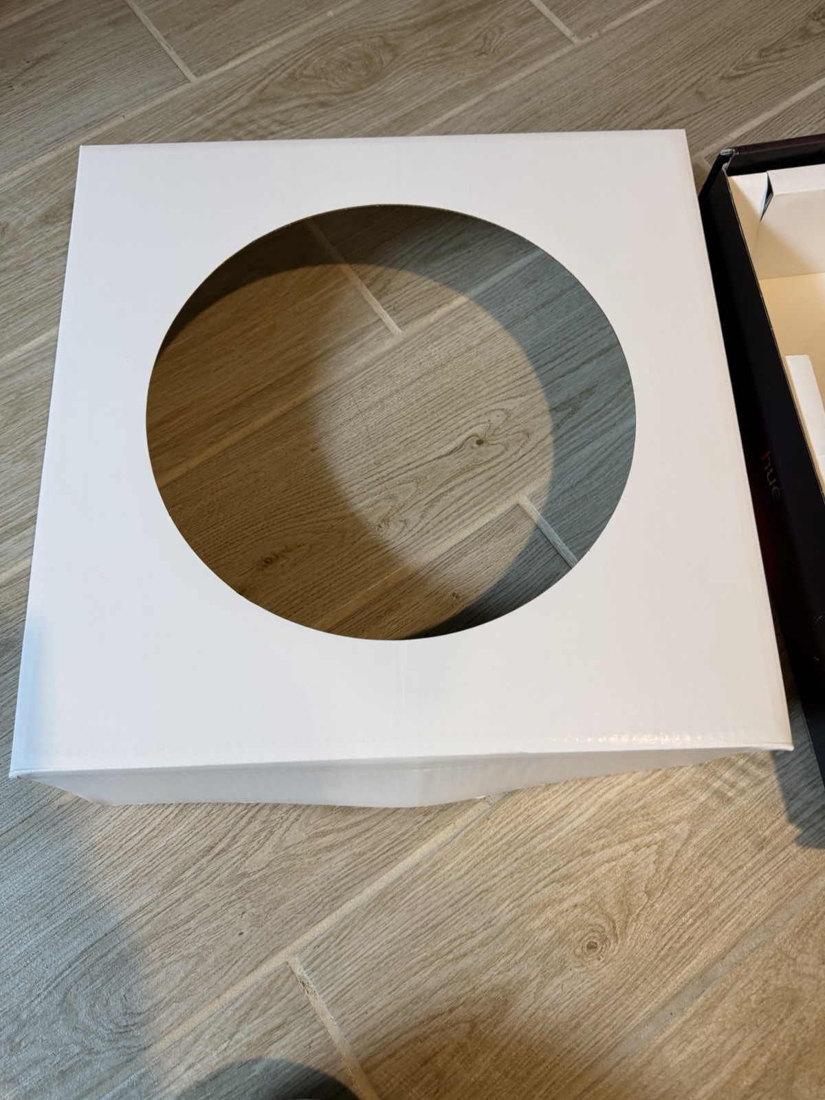 Philips Hue Ceiling medium infused light +Smart dimmer control light.