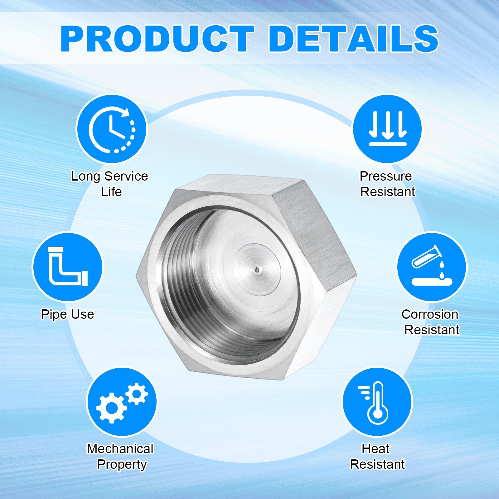 1-Pack Hex End Cap, 1-1/4 Inch PT Female Thread Pipe Fitting