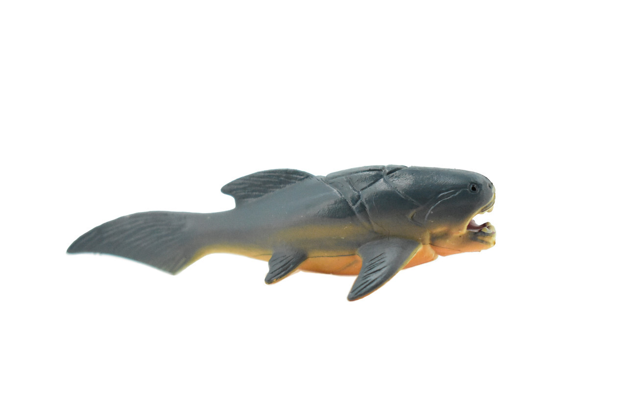 Dunkleosteus, Extinct Fish, Realistic Toy, Replica, Kids, Gift, 3" CH404BB108