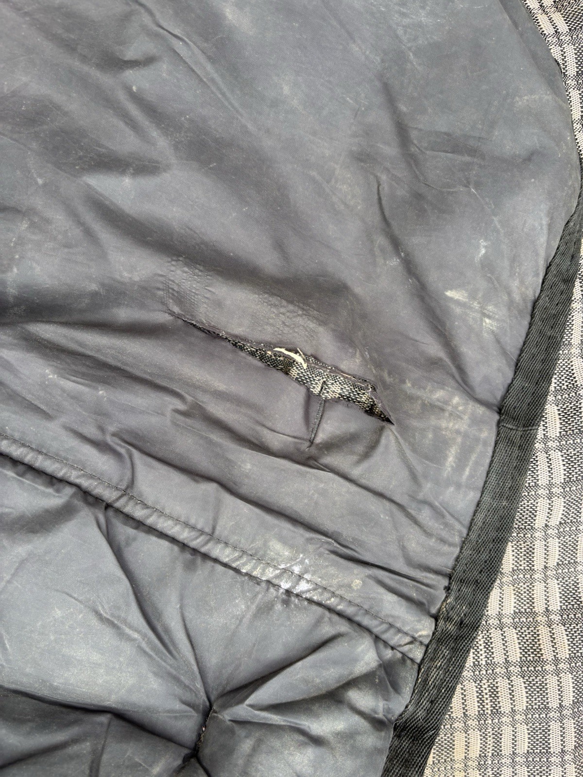 Schneiders Horse Turnout Blanket