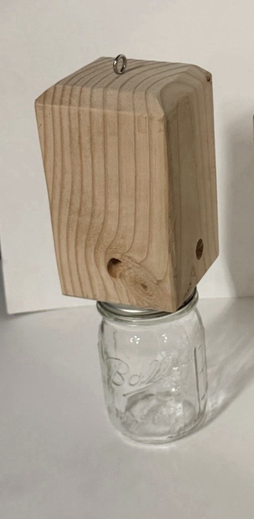 One Of The Best Carpenter Bee Traps In The Market No 2 Are TheSame Made To Order