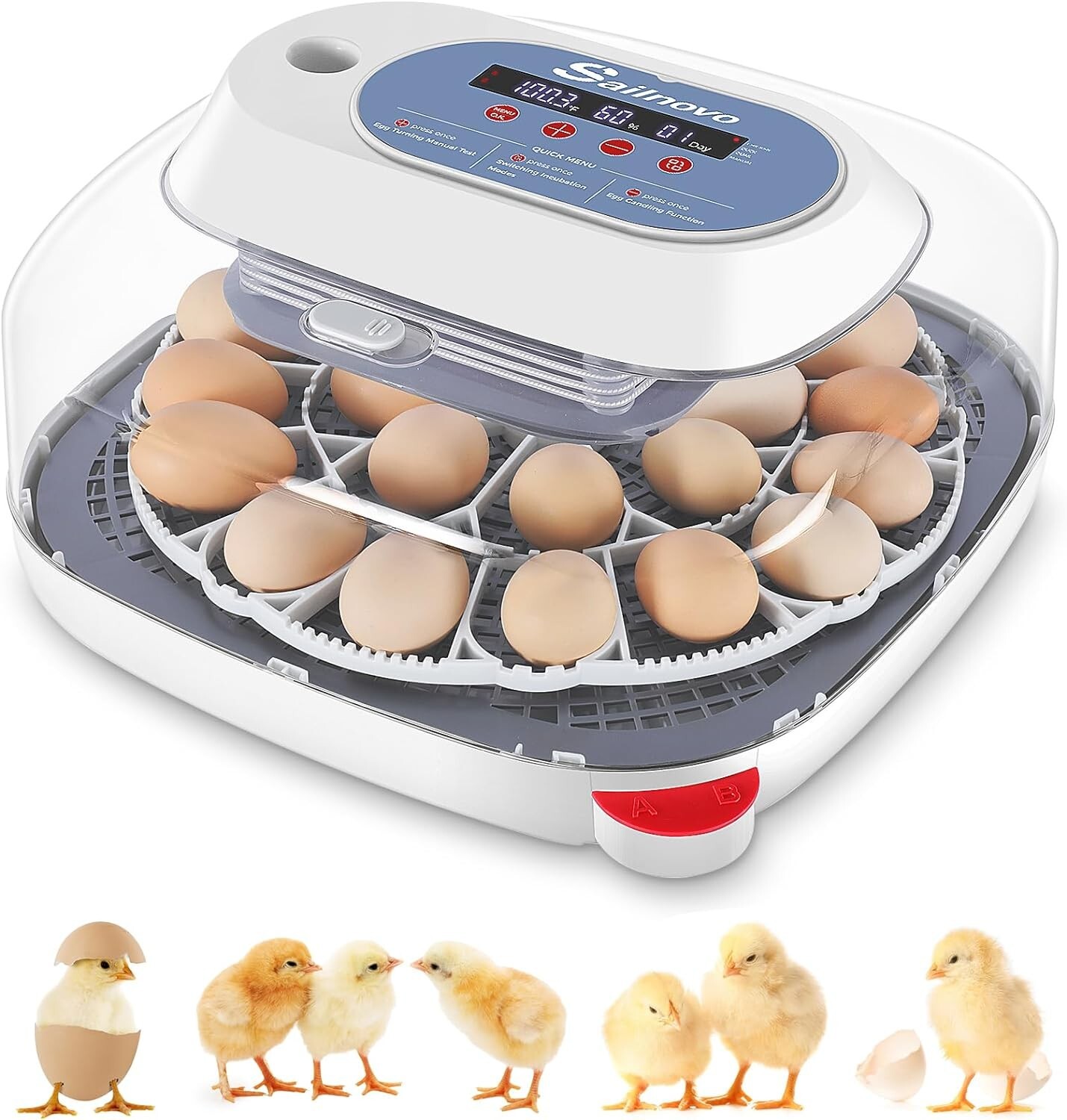 24 Egg Incubator for Hatching w/Automatic Egg Turner Temperature Display Gift🌱