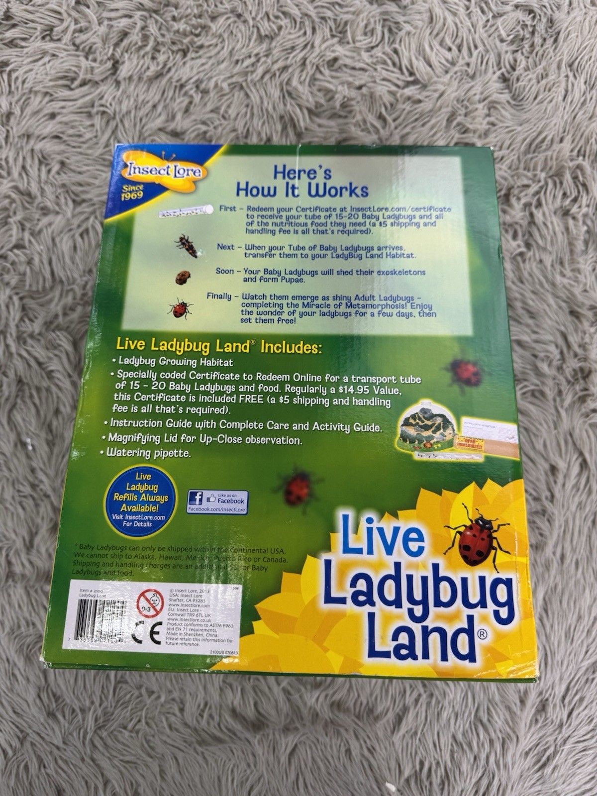 Insect Lore Live Ladybug Land Hatching Kit!